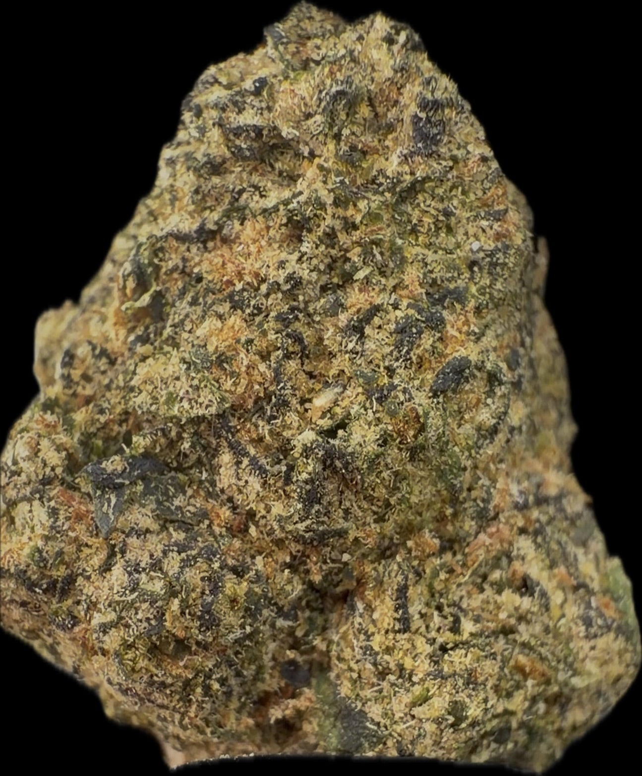 Blue Candy – Exoticpuffdc