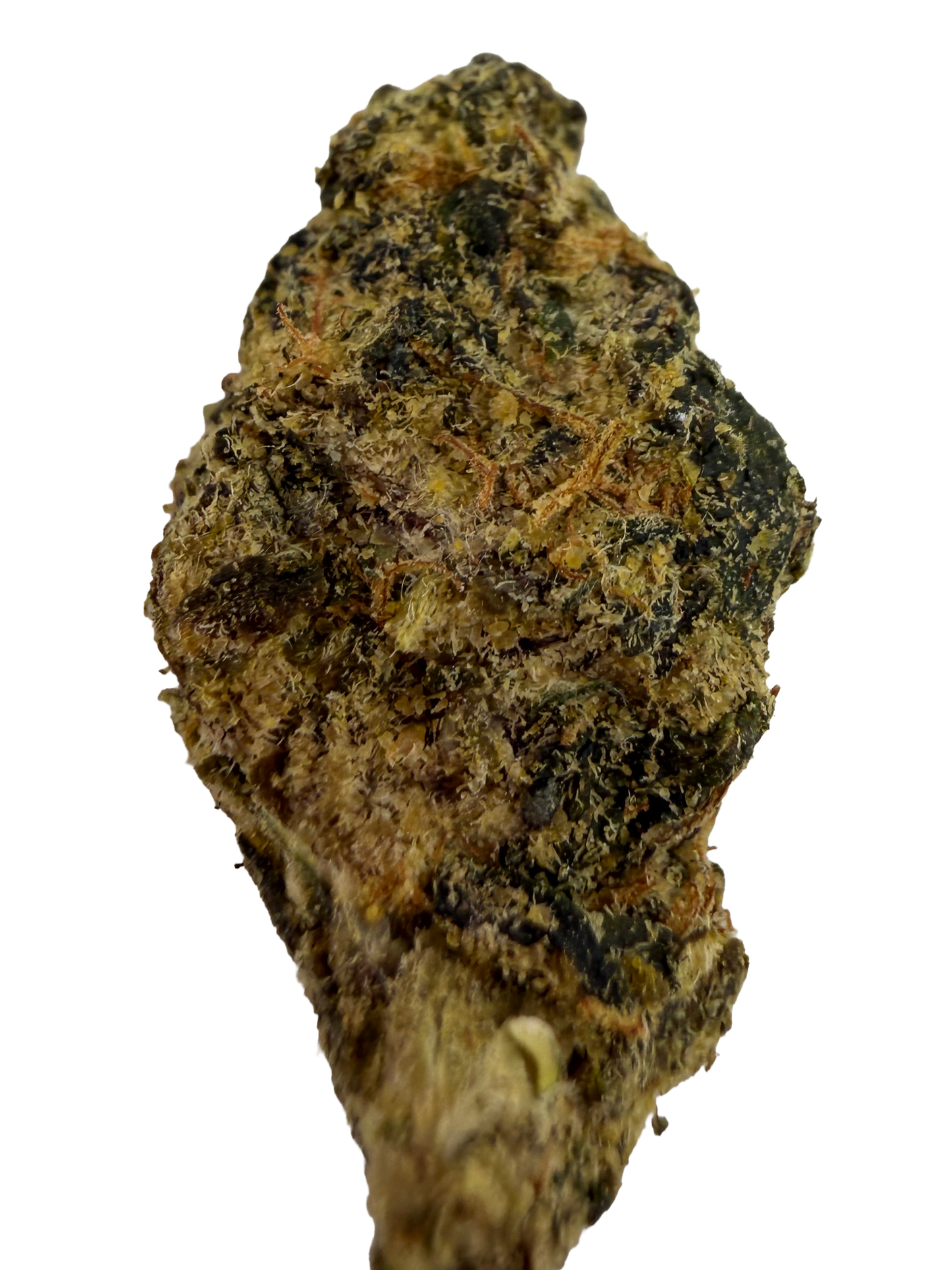 Ghost OG