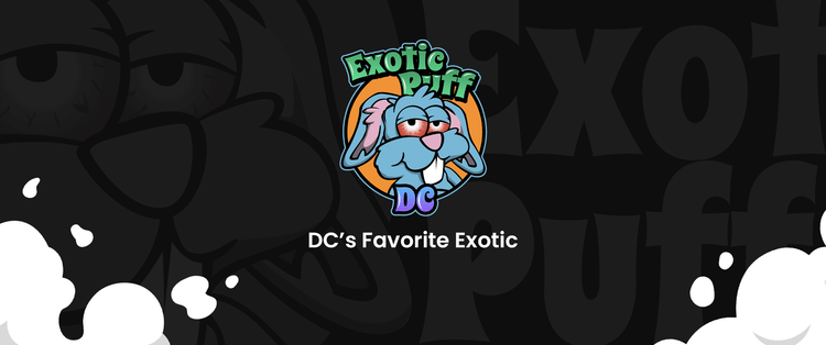 Only The Best Exotics! – Exoticpuffdc